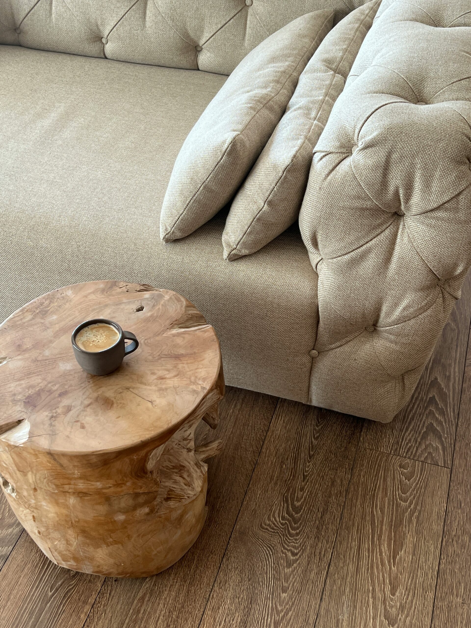 Read more about the article How to Make The 1 Most Effective DIY Upholstery Cleaner at Home